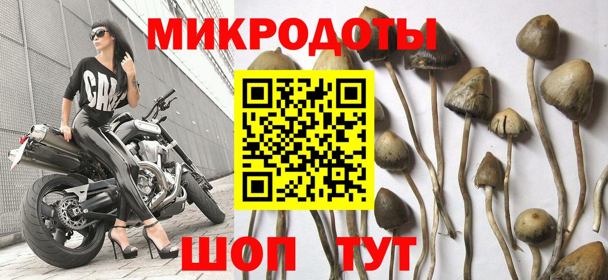 Людиново  закладка  Вход с VPN  Псилоцибиновые грибы Psilocybe  Псилоцибиновые грибы Psilocybe 